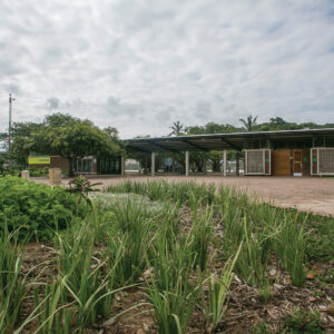 Durban Eco Green Club
